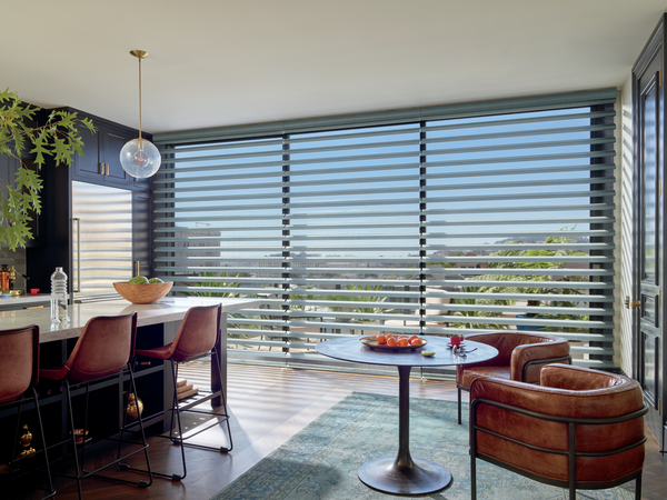 Pirouette® Window Shadings with ClearView™