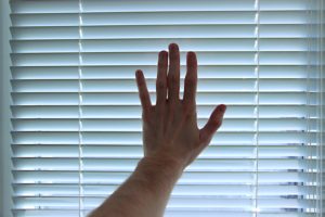 why choose motorized blinds